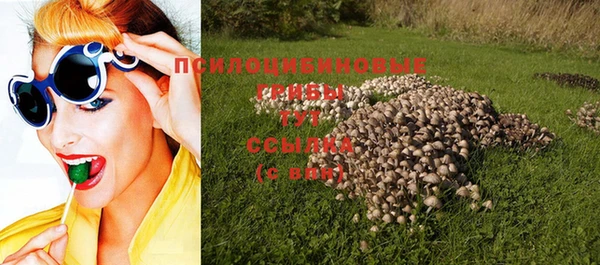 дживик Алексин