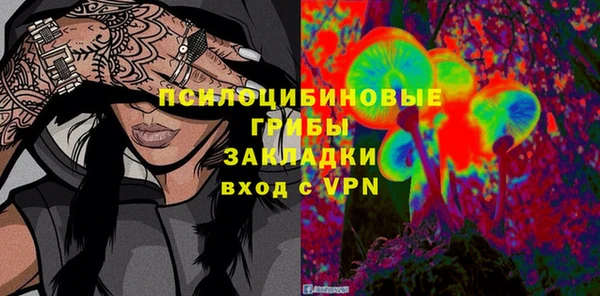 эйфоретик Алзамай