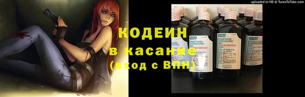 эйфоретик Алзамай