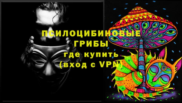 эйфоретик Алзамай