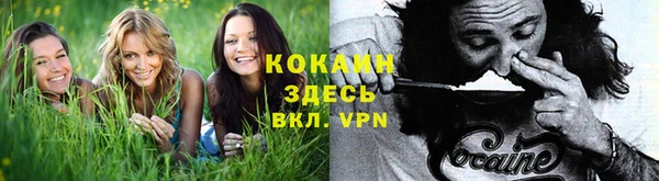 а пвп мука Алексеевка